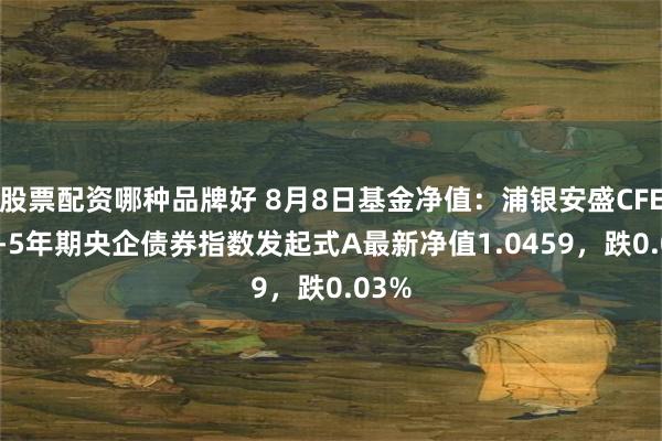 股票配资哪种品牌好 8月8日基金净值：浦银安盛CFETS0-5年期央企债券指数发起式A最新净值1.0459，跌0.03%