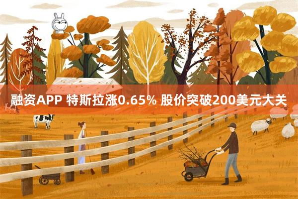 融资APP 特斯拉涨0.65% 股价突破200美元大关