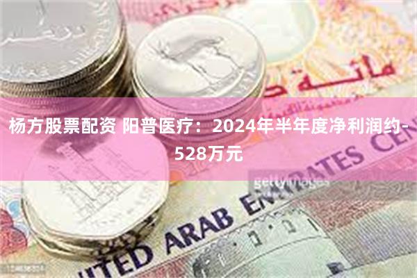 杨方股票配资 阳普医疗：2024年半年度净利润约-528万元