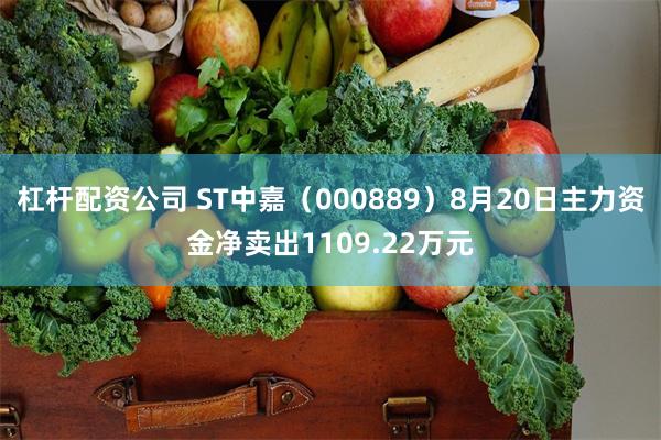 杠杆配资公司 ST中嘉（000889）8月20日主力资金净卖出1109.22万元