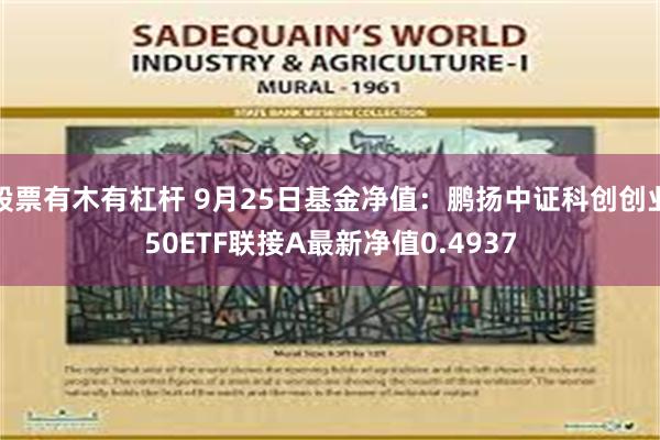 股票有木有杠杆 9月25日基金净值：鹏扬中证科创创业50ETF联接A最新净值0.4937