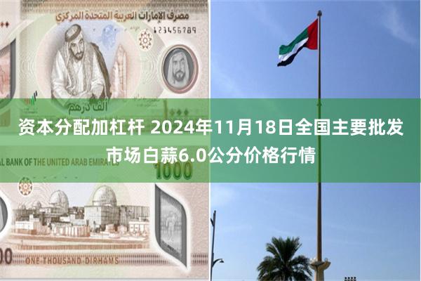 资本分配加杠杆 2024年11月18日全国主要批发市场白蒜6.0公分价格行情