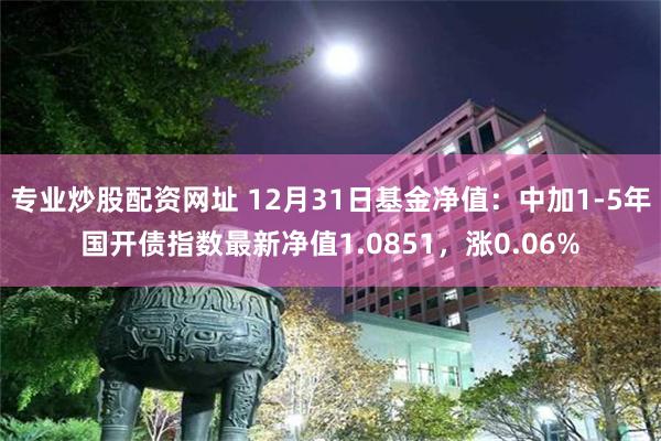 专业炒股配资网址 12月31日基金净值：中加1-5年国开债指数最新净值1.0851，涨0.06%