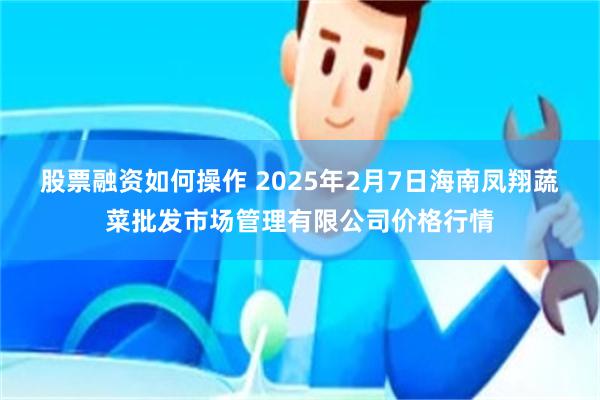 股票融资如何操作 2025年2月7日海南凤翔蔬菜批发市场管理有限公司价格行情