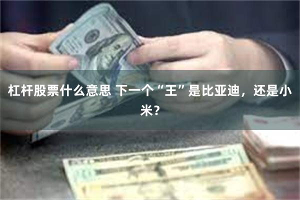 杠杆股票什么意思 下一个“王”是比亚迪，还是小米？